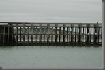 25-8-2010 14-55-55_0023