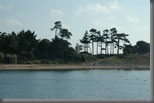 8-8-2010 8-46-20_0032