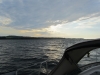 2013-05-30 06-29-46