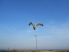 2013-06-02 19-42-56