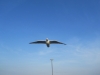 2013-06-02 19-43-05