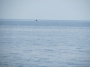2013-06-03 12-59-19