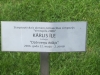 2013-06-10 12-44-57