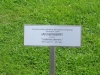 2013-06-10 12-45-34