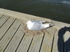 2013-06-12 15-45-24