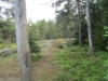 2013-06-22 16-33-21