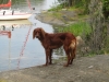 2013-06-22 16-35-28