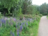 2013-06-24 09-50-12